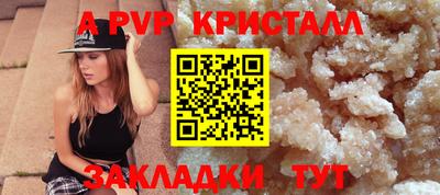 крисы Новозыбков