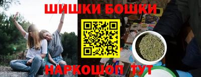 крисы Новозыбков