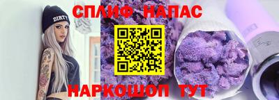 крисы Новозыбков