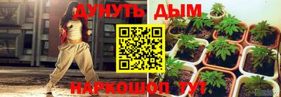 mdpv Новокубанск