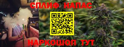 крисы Новозыбков