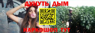 герыч Новодвинск