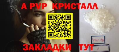 крисы Новозыбков