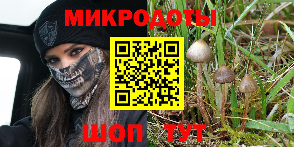 Псилоцибиновые грибы GOLDEN TEACHER  Вход с VPN  Симферополь 